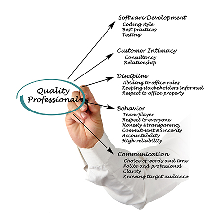 Custom Software Development